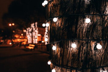 Tree trunks wrapped in a glowing Christmas garland and a bleached background on the street on a winter night