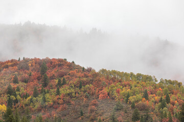 Fototapeta premium Scenic Autumn Landscape Along the Snake River Idaho