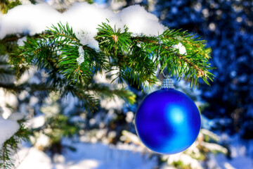 Christmas blue ornament on forest tree branch
