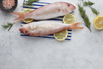 Raw red mullet fish with lemons and herbs on white stone background, copy space