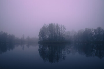 Landscape with pond on a foggy day.