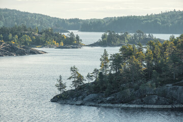 Stone islands, covered with forest in the  northern lake Ladoga in the Region Karelia in Russia, autumn view from above.