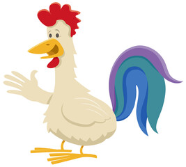 funny cartoon rooster farm animal comic character