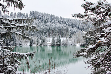 See im Winter 