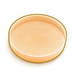 The digital painting of blank brown wooden lunch box isometric icon raster illustration on white background.