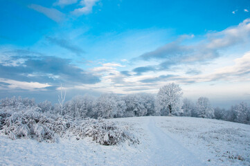 Zimowy pejzaż z ośnieżonymi drzewami.  Winter landscape with snow-covered trees.