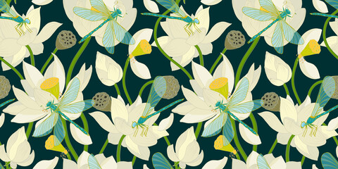 White Lotus flowers and dragonflies