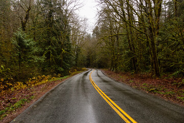 Beautiful View of a Scenic Road in the Green Forest during a rainy fall season day. Taken in Squamish, North of Vancouver, British Columbia, Canada.