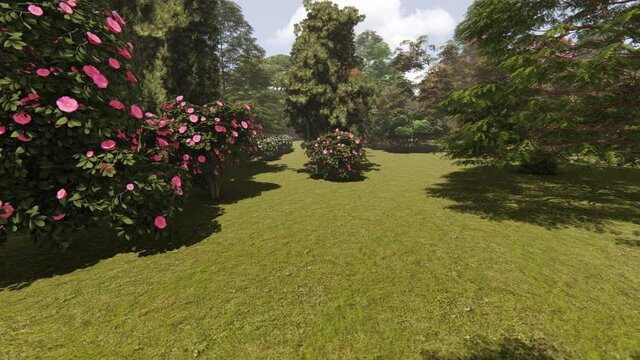 Walk through Japanese garden and flowers