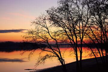 Silhouette of a tree without leaves on the river bank at sunset on autumn evening