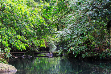 Nature Danau Merabu Kalimantan Timur