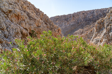 Beautiful beach Seitan limania also known as Stefanou beach on Crete, Greece. Superb bay in a...