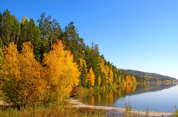 Bright autumn landscape: the river's coastline, densely wooded, gently curves to the horizon.