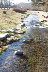 a small stream running through a meadow.
