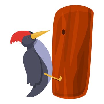 recommend clip art: Woodpecker working icon. Cartoon of woodpecker working vector icon for web design isolated on white background