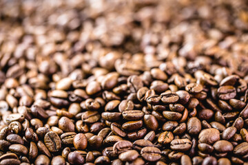 Arabica coffee seeds, a type of natural coffee from Arabia or Ethiopia. Spot focus