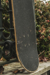 skateboard in a park in autumn