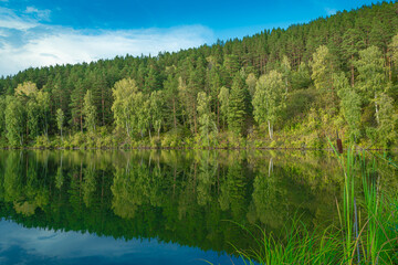 Fototapeta na wymiar Reflection of trees in mirror of lake