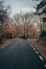 person walking on road