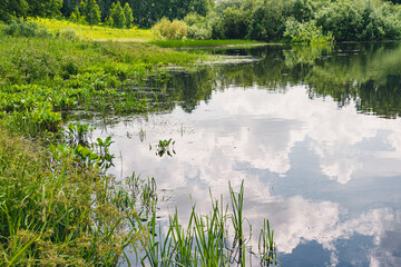 Reflection of green trees and blue sky with clouds in mirror surface of lake