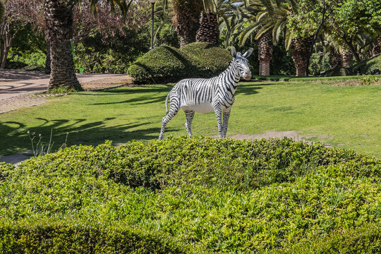View of the beautiful public Paloma Park (Parque De La Paloma) in Benalmadena. Benalmadena - most popular holiday towns on the Costa Del Sol. Andalusia, Spain.