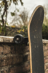 skateboard in a park in autumn