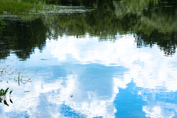 Reflection of green trees and blue sky with clouds in mirror surface of lake