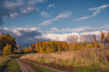 Autumn landscape with dirt road. Rural road in autumn field under cloudy sky.