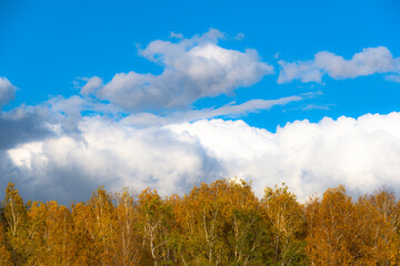 Fototapeta na wymiar Thick clouds over row of autumn trees