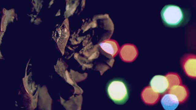 Natale vintage, pigna  con luci a intermittenza colorate.