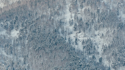Fototapeta na wymiar Gentle hills covered with forest and snow, winter mountain valley