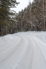 Fototapeta na wymiar Snow road in winter pine forest. Ice and snowstorm on a country road. Clearing the road from snowdrifts.