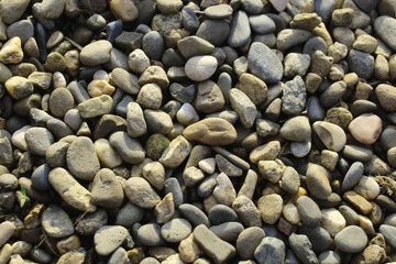 lots of small pebbles, gravel, boulder, background