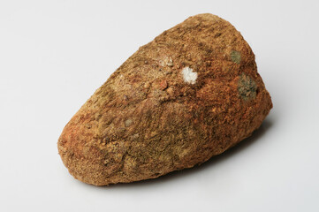 Obraz premium Brown mouldy bread