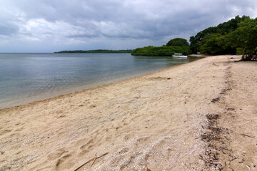 Bama beach is one of the tourist destinations in the Baluran National Park, Situbondo, East Java.