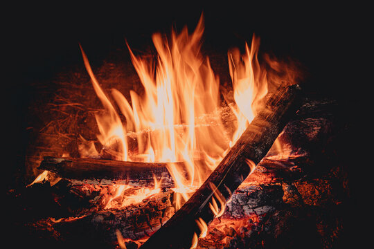 Wood is burning in fire. Fire for bushcraft and tourism at night gives warmth and light.