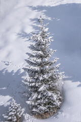 Allphotokz Chimbulak 20160210 8950 D810 S