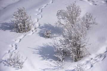 Allphotokz Chimbulak 20160210 8926 D810 S