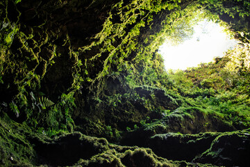 Dark and rough texture with moss wall in tunnel opening to the outside light in Algar do Carvão,...