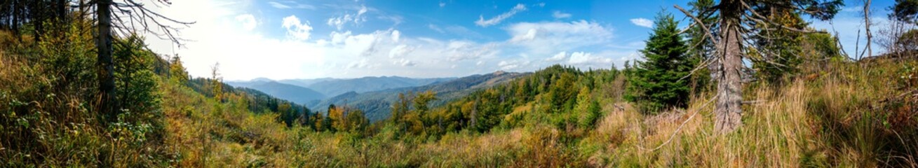beautiful panorama of meadows and mountains in autumn