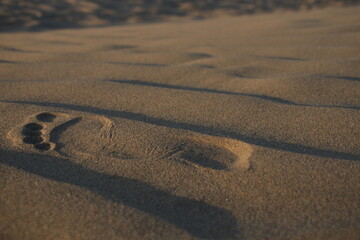 Footsteps in Sand