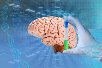 doctor, scientist is studying the human brain, the concept of medical health, intellectual...