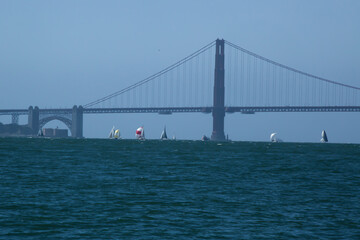 Sailboats in the San Francisco Bay