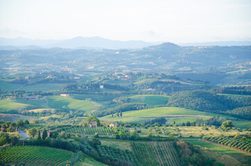 Fototapeta premium Impressive spring landscape,view with cypresses and vineyards ,Tuscany,Italy