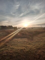 sunset over the field