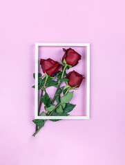 red roses in a white frame on a pink background