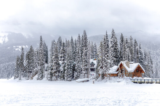 Picturesque winter landscape of snowy valley with wooden house surrounded by coniferous woods and rocky mountains under cloudy sky