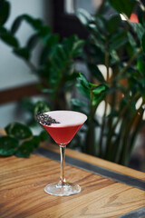Close up view of fresh summer cocktail on the wooden table