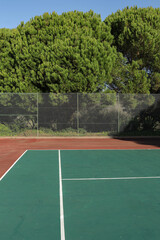 Empty Tennis Court. Trees on a background 