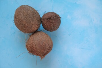 Coconuts set  on a light blue background.Fresh coconut group.Raw materials for food and cosmetics.Keto diet ingredient.Coconut milk and coconut oil raw materials.copy space.	